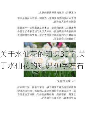 关于水仙花的知识30字,关于水仙花的知识30字左右