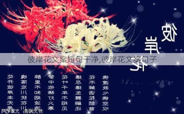 彼岸花文案短句干净,彼岸花文案句子-第2张图片-花卉百科