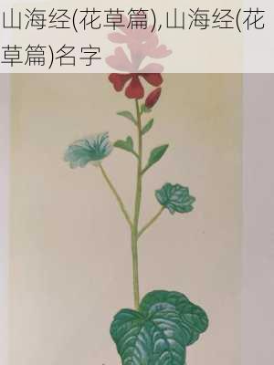 山海经(花草篇),山海经(花草篇)名字