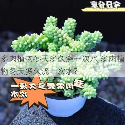 多肉植物冬天多久浇一次水,多肉植物冬天多久浇一次水?