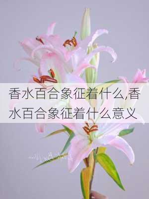 香水百合象征着什么,香水百合象征着什么意义-第1张图片-花卉百科