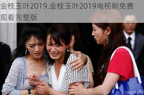 金枝玉叶2019,金枝玉叶2019电视剧免费观看完整版