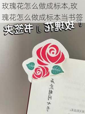 玫瑰花怎么做成标本,玫瑰花怎么做成标本当书签