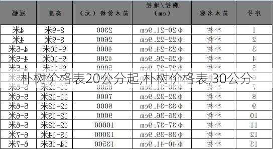 朴树价格表20公分起,朴树价格表,30公分