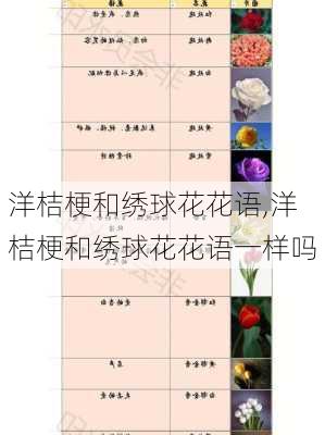 洋桔梗和绣球花花语,洋桔梗和绣球花花语一样吗-第2张图片-花卉百科