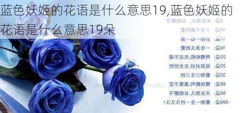 蓝色妖姬的花语是什么意思19,蓝色妖姬的花语是什么意思19朵-第2张图片-花卉百科