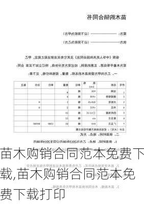 苗木购销合同范本免费下载,苗木购销合同范本免费下载打印