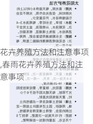 花卉养殖方法和注意事项,春雨花卉养殖方法和注意事项