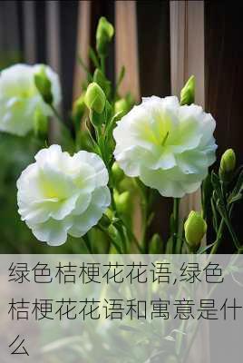 绿色桔梗花花语,绿色桔梗花花语和寓意是什么-第3张图片-花卉百科