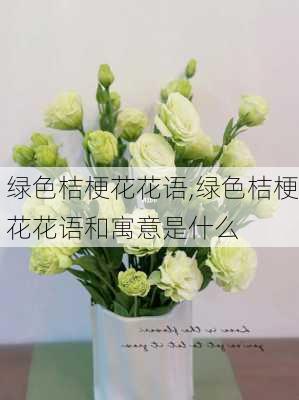 绿色桔梗花花语,绿色桔梗花花语和寓意是什么