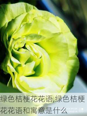 绿色桔梗花花语,绿色桔梗花花语和寓意是什么-第2张图片-花卉百科