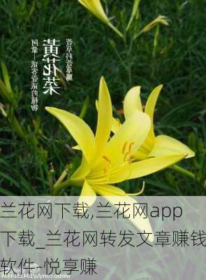 兰花网下载,兰花网app下载_兰花网转发文章赚钱软件-悦享赚