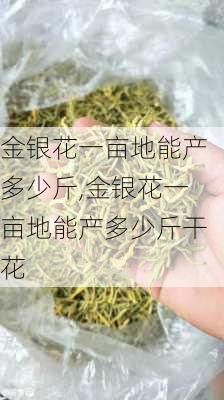 金银花一亩地能产多少斤,金银花一亩地能产多少斤干花-第1张图片-花卉百科