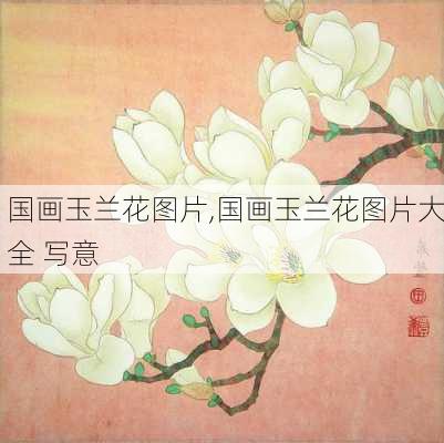 国画玉兰花图片,国画玉兰花图片大全 写意