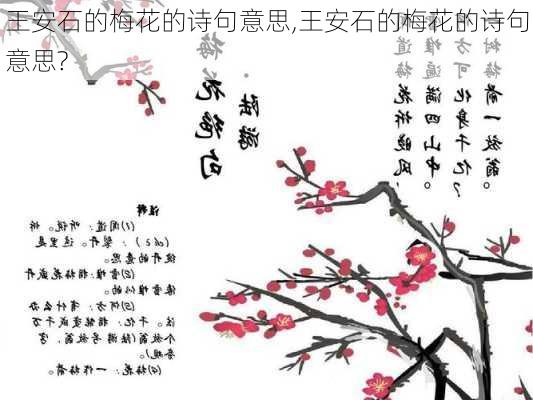 王安石的梅花的诗句意思,王安石的梅花的诗句意思?