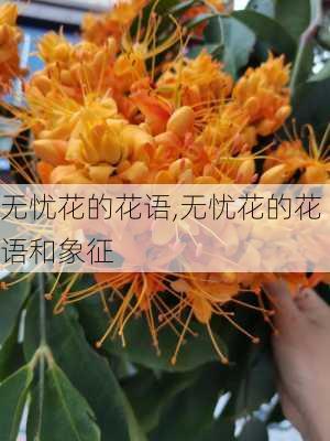 无忧花的花语,无忧花的花语和象征-第2张图片-花卉百科