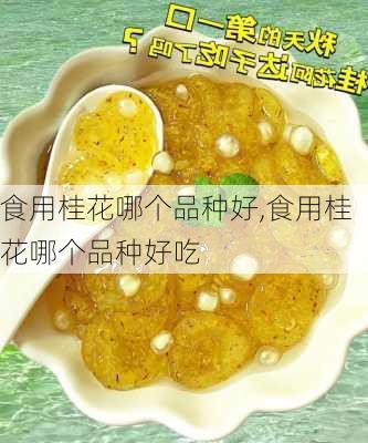 食用桂花哪个品种好,食用桂花哪个品种好吃