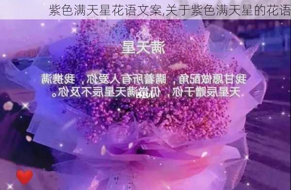 紫色满天星花语文案,关于紫色满天星的花语