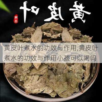 黄皮叶煮水的功效与作用,黄皮叶煮水的功效与作用小孩可以喝吗