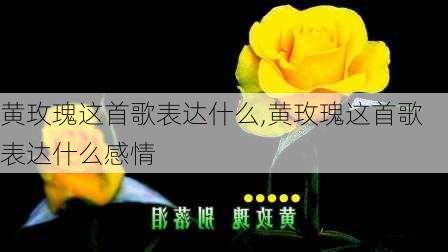 黄玫瑰这首歌表达什么,黄玫瑰这首歌表达什么感情-第3张图片-花卉百科