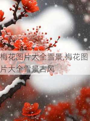 梅花图片大全雪景,梅花图片大全雪景古风