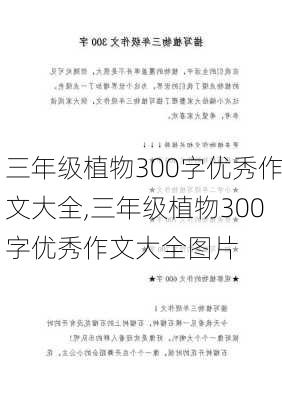 三年级植物300字优秀作文大全,三年级植物300字优秀作文大全图片