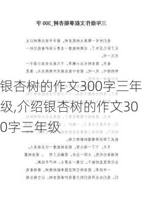 银杏树的作文300字三年级,介绍银杏树的作文300字三年级-第1张图片-花卉百科