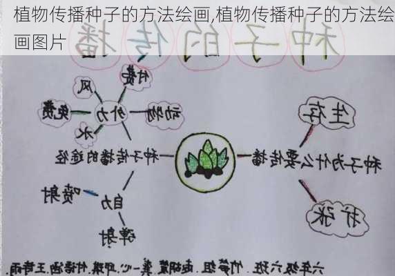 植物传播种子的方法绘画,植物传播种子的方法绘画图片-第1张图片-花卉百科