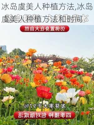 冰岛虞美人种植方法,冰岛虞美人种植方法和时间-第2张图片-花卉百科