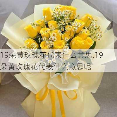 19朵黄玫瑰花代表什么意思,19朵黄玫瑰花代表什么意思呢