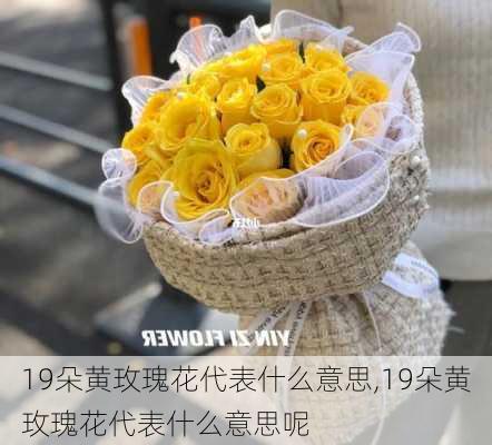 19朵黄玫瑰花代表什么意思,19朵黄玫瑰花代表什么意思呢-第2张图片-花卉百科