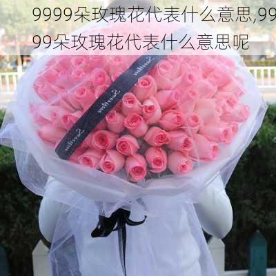 9999朵玫瑰花代表什么意思,9999朵玫瑰花代表什么意思呢