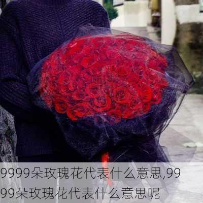 9999朵玫瑰花代表什么意思,9999朵玫瑰花代表什么意思呢-第3张图片-花卉百科