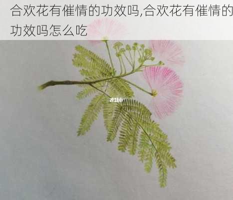 合欢花有催情的功效吗,合欢花有催情的功效吗怎么吃-第3张图片-花卉百科