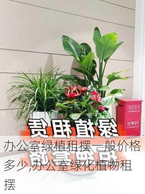 办公室绿植租摆一般价格多少,办公室绿化植物租摆