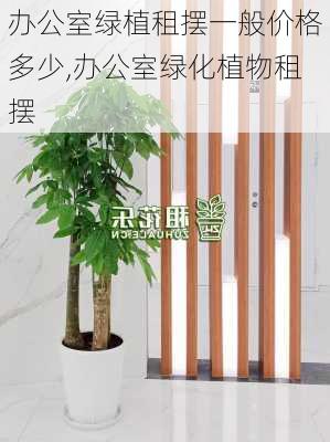 办公室绿植租摆一般价格多少,办公室绿化植物租摆-第3张图片-花卉百科