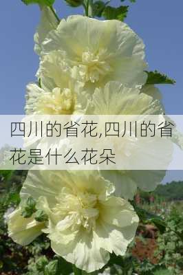 四川的省花,四川的省花是什么花朵-第3张图片-花卉百科