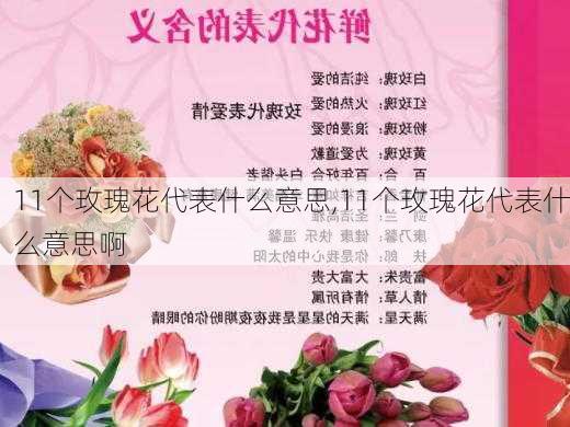 11个玫瑰花代表什么意思,11个玫瑰花代表什么意思啊