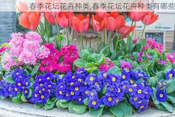 春季花坛花卉种类,春季花坛花卉种类有哪些