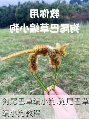 狗尾巴草编小狗,狗尾巴草编小狗教程-第1张图片-花卉百科