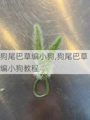 狗尾巴草编小狗,狗尾巴草编小狗教程-第2张图片-花卉百科