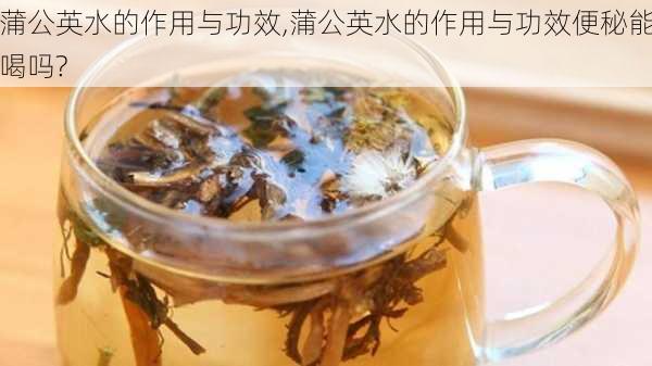 蒲公英水的作用与功效,蒲公英水的作用与功效便秘能喝吗?-第3张图片-花卉百科