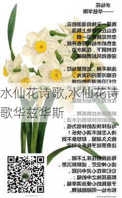 水仙花诗歌,水仙花诗歌华兹华斯-第1张图片-花卉百科