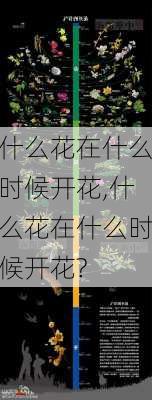 什么花在什么时候开花,什么花在什么时候开花?-第1张图片-花卉百科