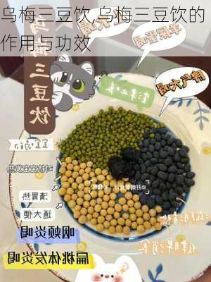 乌梅三豆饮,乌梅三豆饮的作用与功效-第1张图片-花卉百科