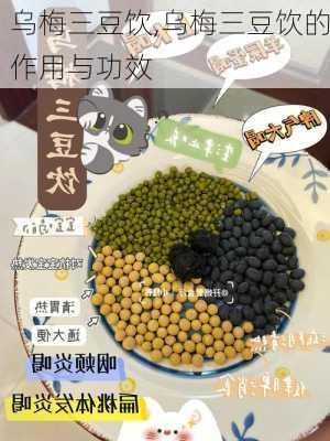 乌梅三豆饮,乌梅三豆饮的作用与功效-第2张图片-花卉百科