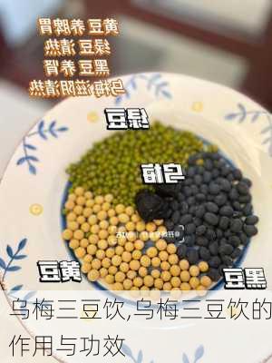 乌梅三豆饮,乌梅三豆饮的作用与功效-第3张图片-花卉百科