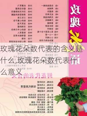 玫瑰花朵数代表的含义是什么,玫瑰花朵数代表什么意义-第3张图片-花卉百科