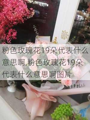 粉色玫瑰花19朵代表什么意思啊,粉色玫瑰花19朵代表什么意思啊图片-第1张图片-花卉百科