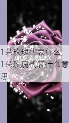 1朵玫瑰代表什么,1朵玫瑰代表什么意思-第3张图片-花卉百科